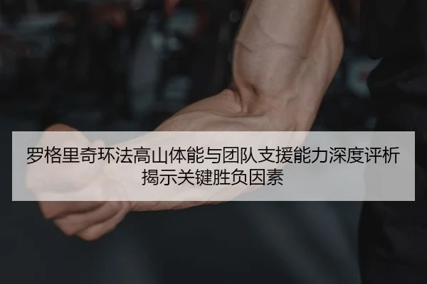 luo-ge-li-qi-huan-fa-gao-shan-ti-neng-yu-tuan-dui-zhi-yuan-neng-li-shen-du-ping-xi-jie-shi-guan-jian-sheng-fu-yin-su-2-234.jpg