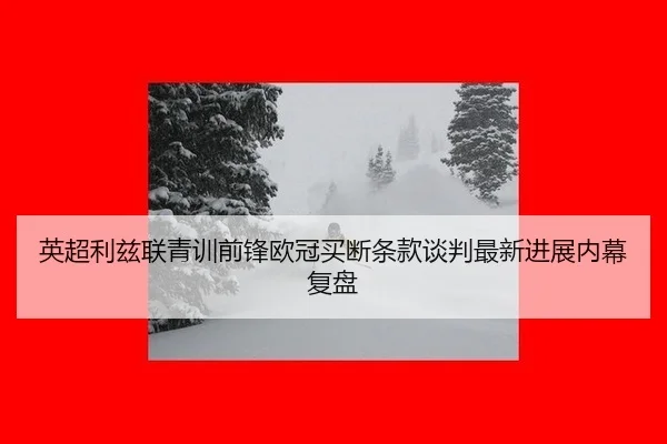 英超利兹联青训前锋欧冠买断条款谈判最新进展内幕复盘